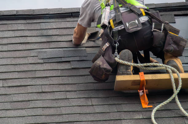 Best Flat Roof Repair Services  in Bellwood, IL